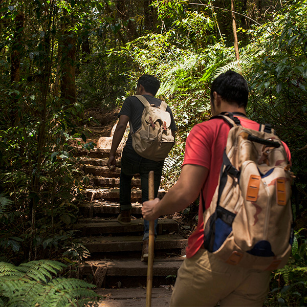Adventure