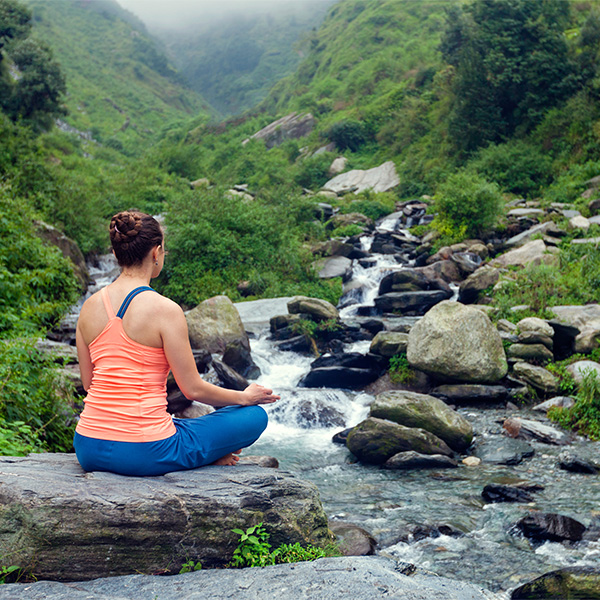 Wellness & Retreat