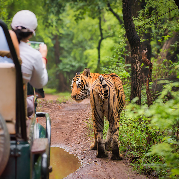 Wildlife & Nature